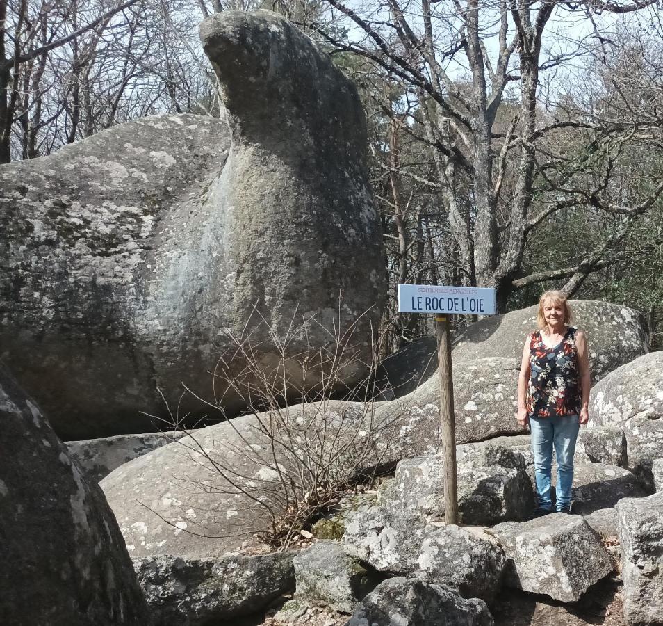 Gite Le Coumis 1370 Saint-Salvy-de-la-Balme エクステリア 写真